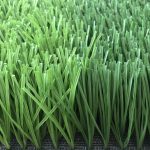 微信图片_20210611071709