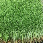 微信图片_20210611072052